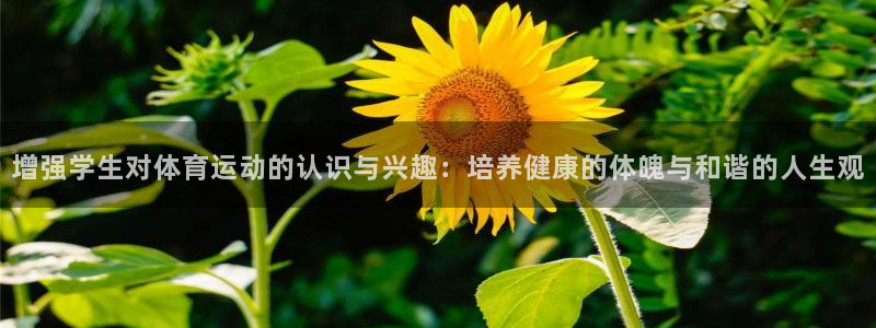 增强学生对体育运动的认识与兴趣：培养健康的体魄与和谐的人生观