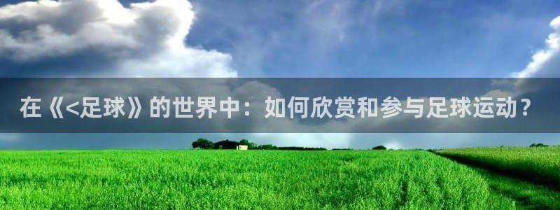 在《<足球》的世界中：如何欣赏和参与足球运动？