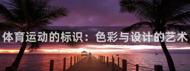 体育运动的标识：色彩与设计的艺术