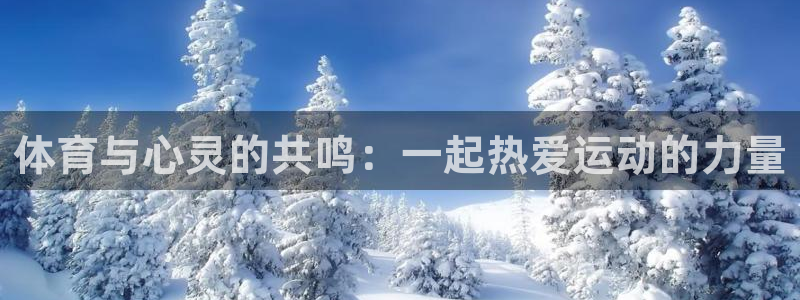 体育与心灵的共鸣：一起热爱运动的力量