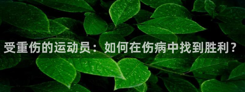 受重伤的运动员：如何在伤病中找到胜利？
